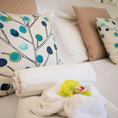 B&B Agramonte-3